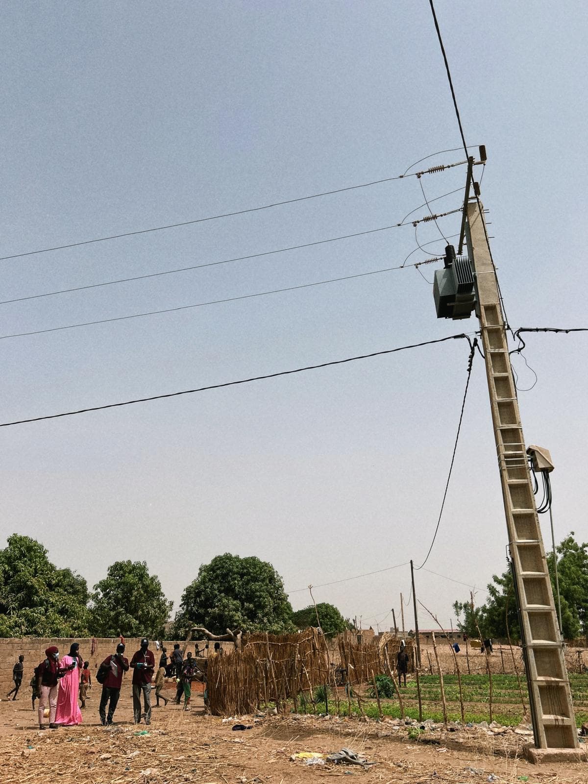 Field team conducting surveys in Senegal